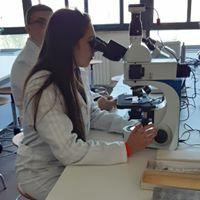 lab biotecnologie