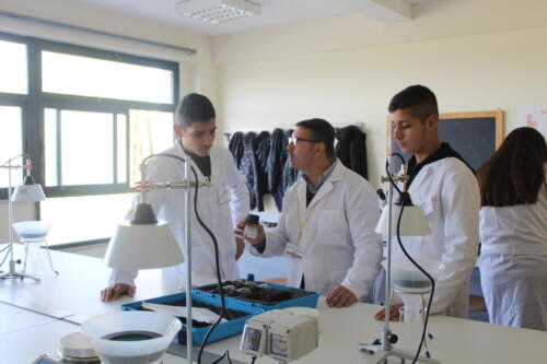 lab tecniche agrarie